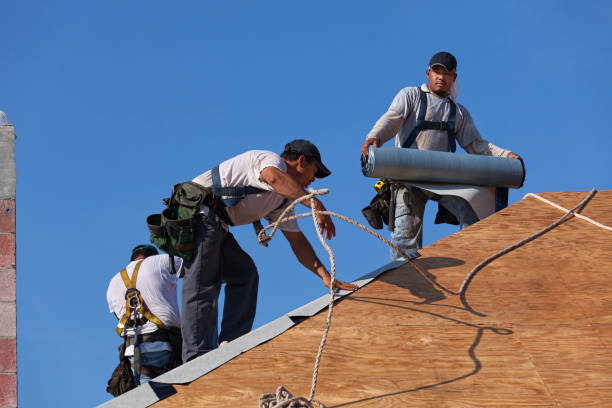Best Flat Roof Repair Services  in Valley Falls, KS